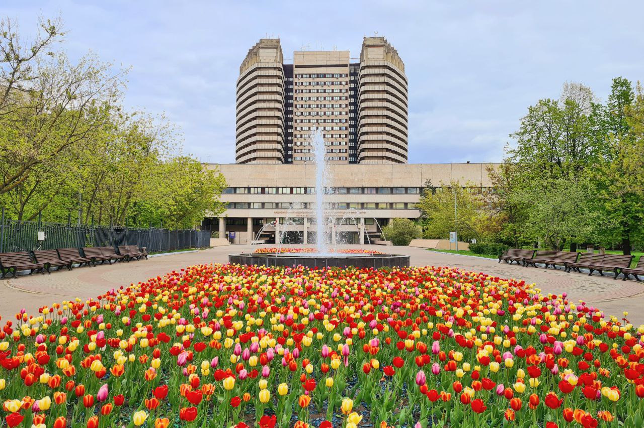 Национальный медицинский исследовательский центр онкологии имени Н.Н. Блохина, отделение переливания крови