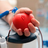 21 век 2008 год