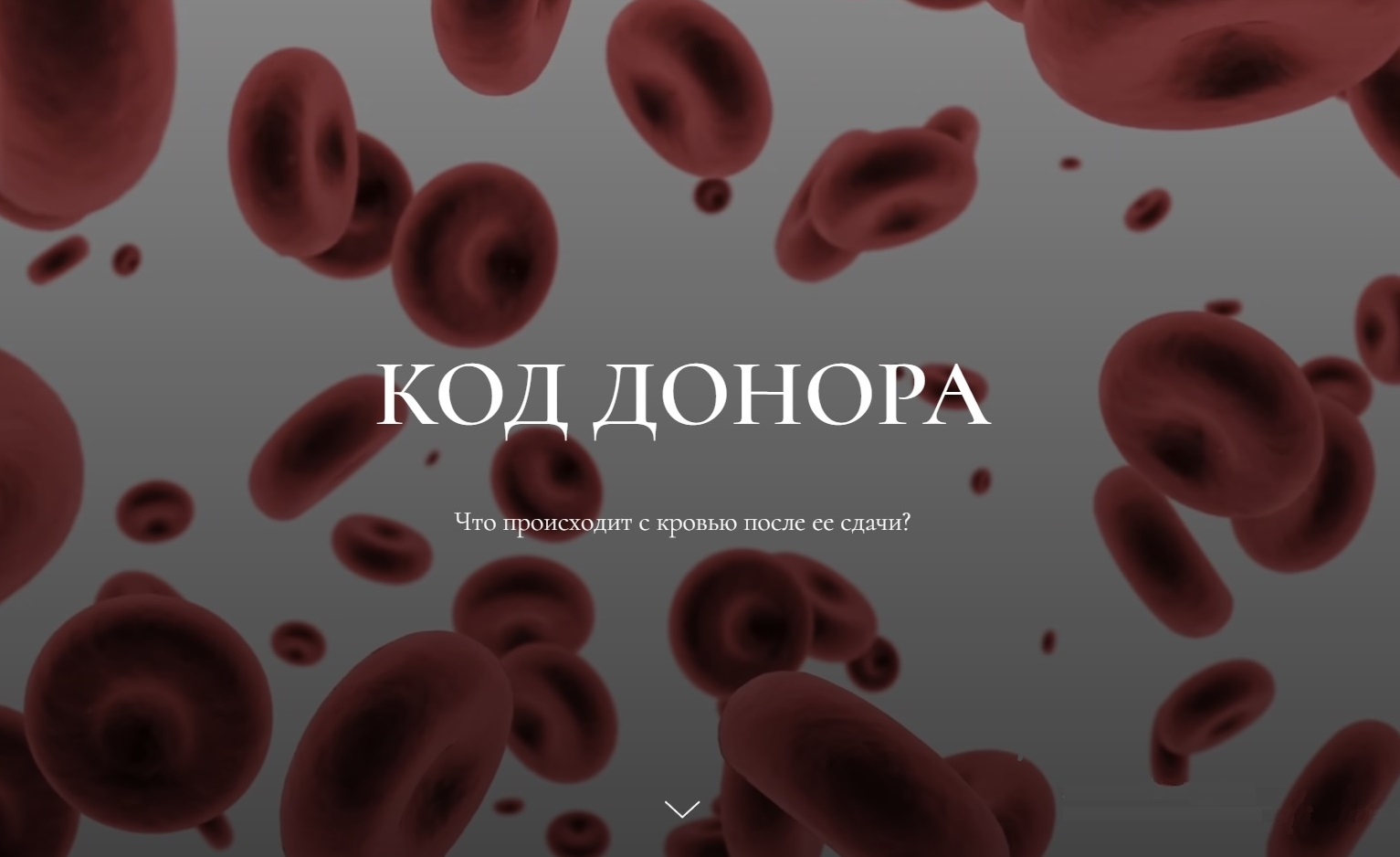 В Красноярском крае студенты создали проект о донорстве крови