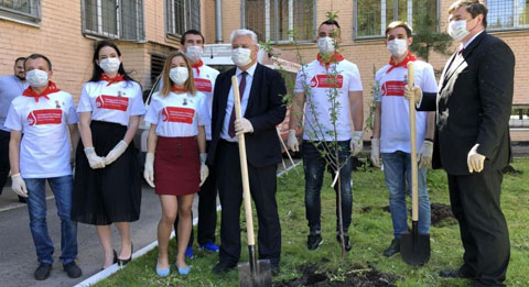 Почетные доноры Петербурга посадили деревья у Городской станции переливания крови 