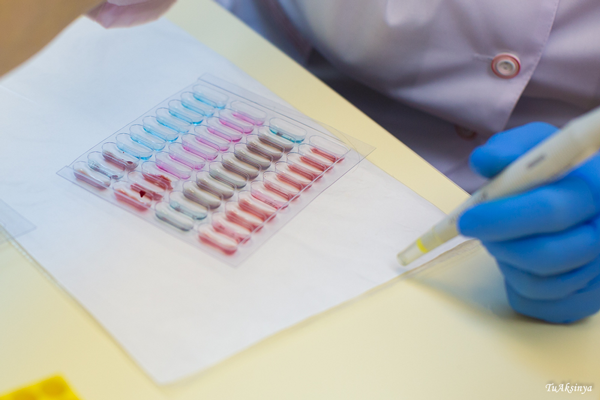 16 свердловчан стали донорами костного мозга