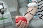 В Пензе из-за жары решили перенести ежегодную акцию «Суббота доноров»