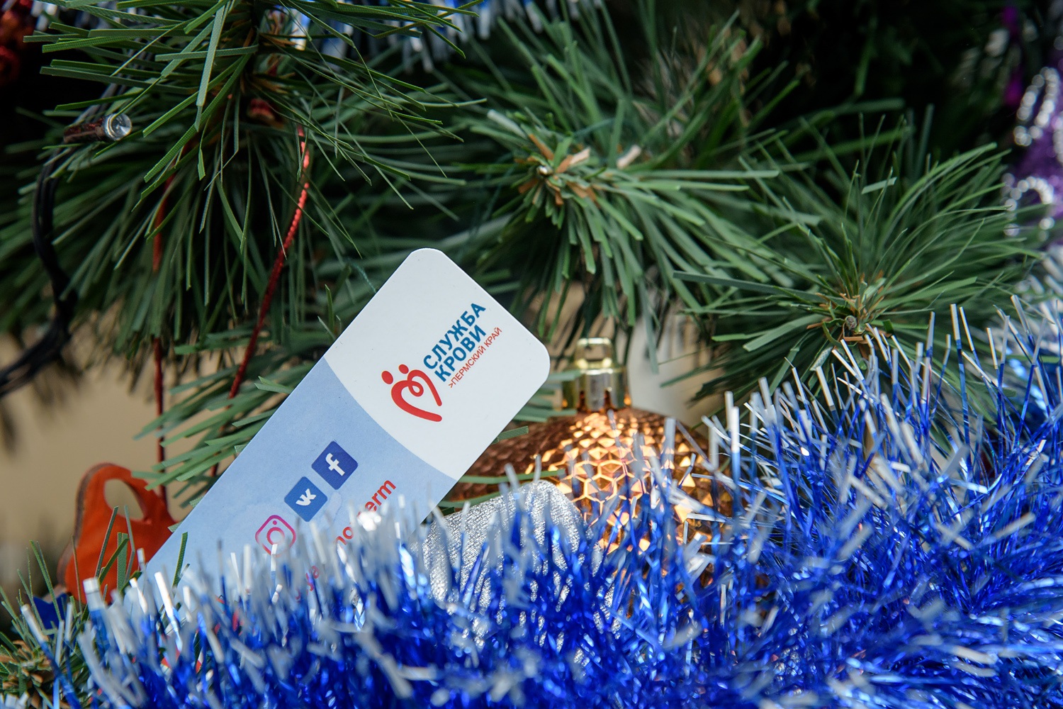 Всероссийская донорская акция «С Новым годом, Служба крови!» пройдет в Перми