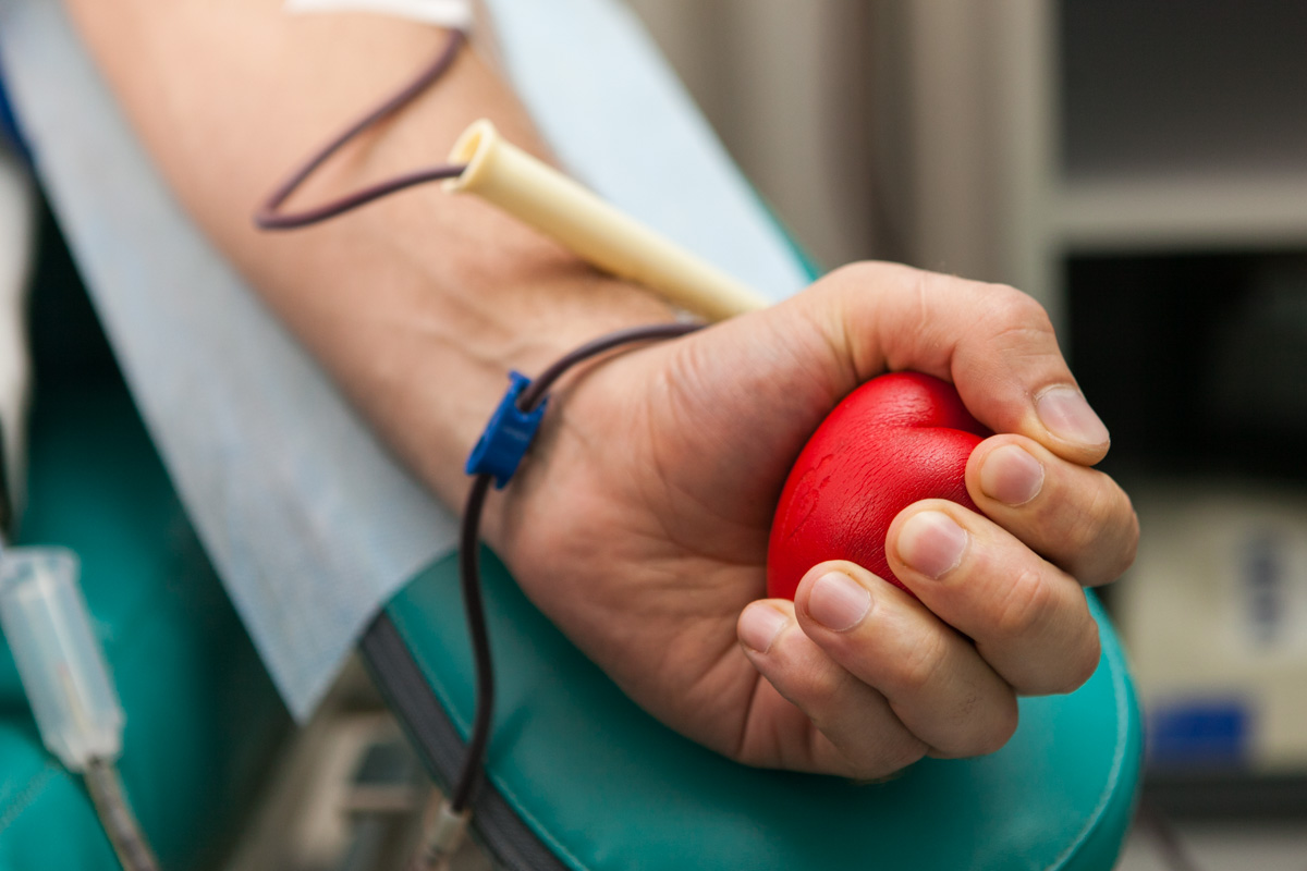 Агрохолдинг «Степь» подвёл итоги коллаборации с проектом «Доноры Дона»