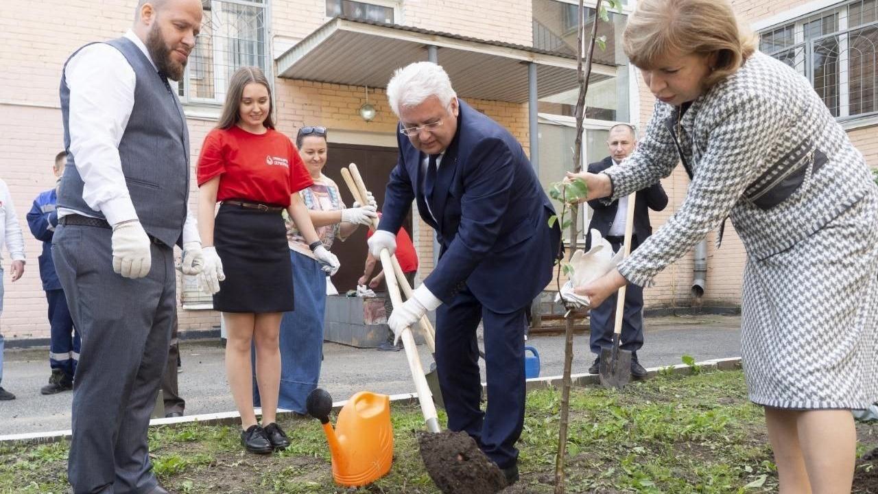 В День донора в сквере Городской станции переливания крови Петербурга высадили деревья