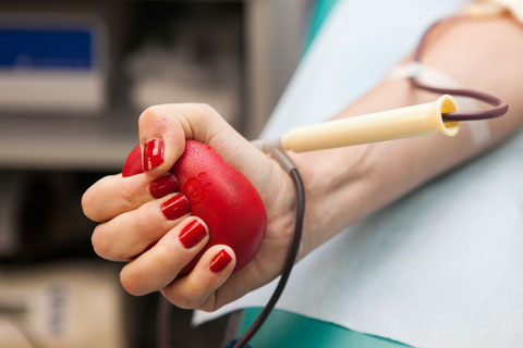 Мытищинское отделение переливания крови полностью обеспечивает потребности города в компонентах крови 