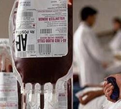 Сотрудники «Магаданэнергосбыта» безвозмездно сдали кровь для станции переливания крови