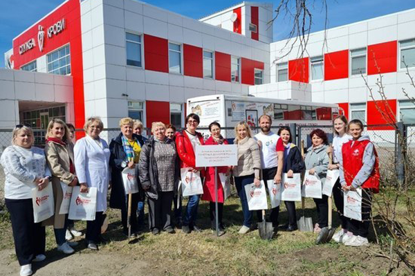 В Пензе посадили аллею каштанов в честь почетных доноров крови