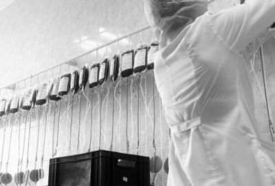 Победителем «Артдокфеста» 2013 стал фильм «Кровь»