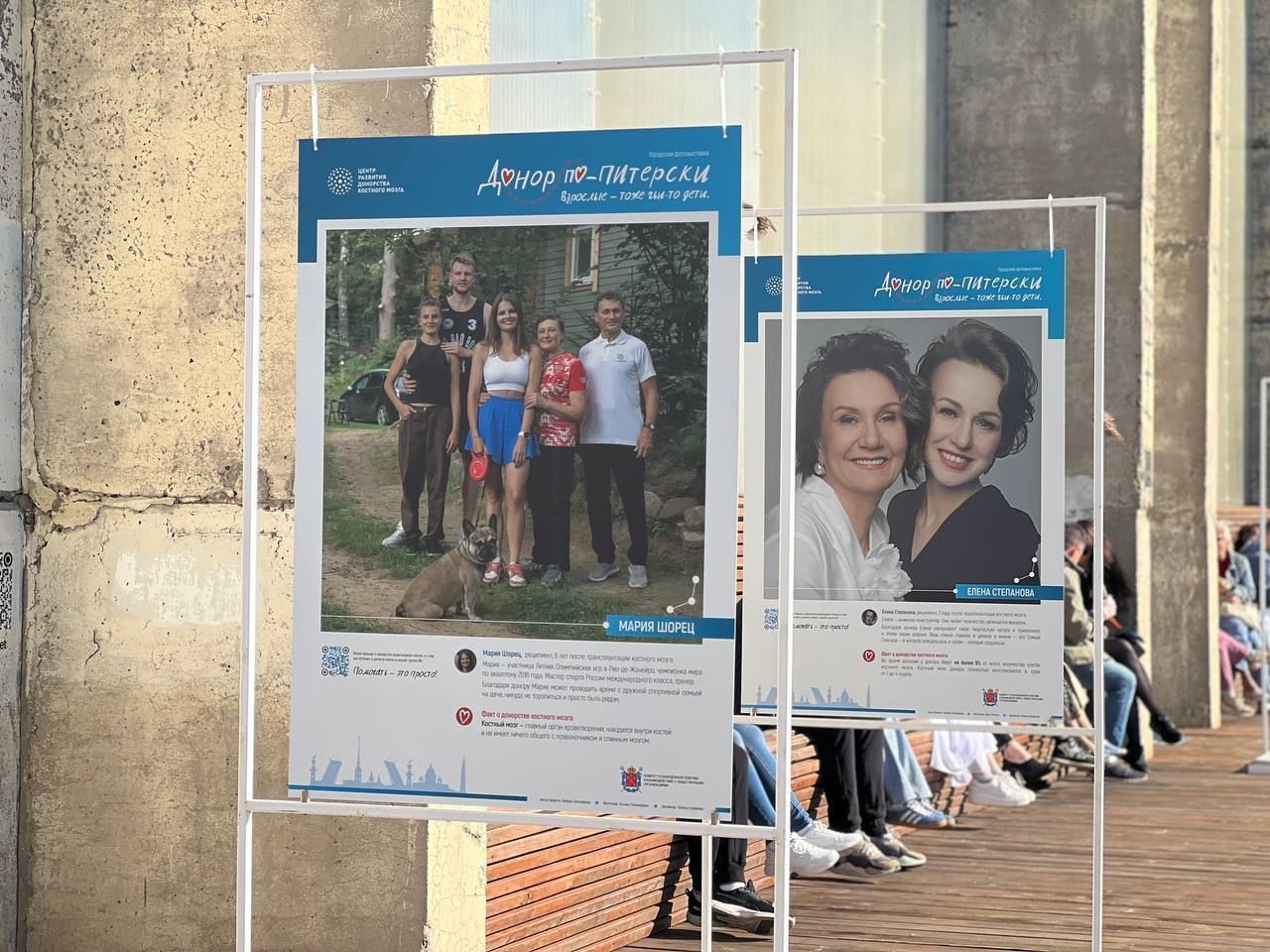 Человеку поможет человек: В Петербурге открылась выставка портретов реципиентов костного мозга