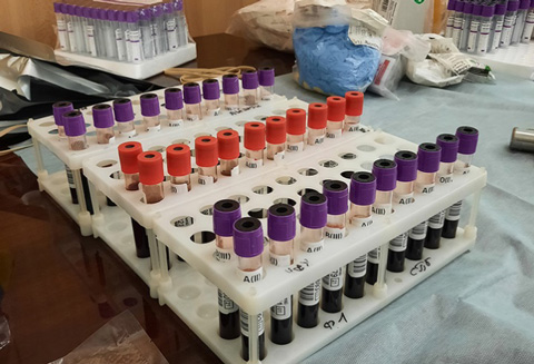 Общественная палата Ленобласти организовала выездной День донора