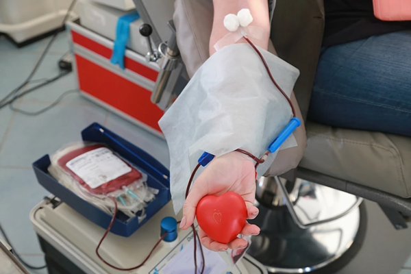 Более 50 красноярцев сдали кровь во время донорской акции в Железнодорожном районе Красноярска