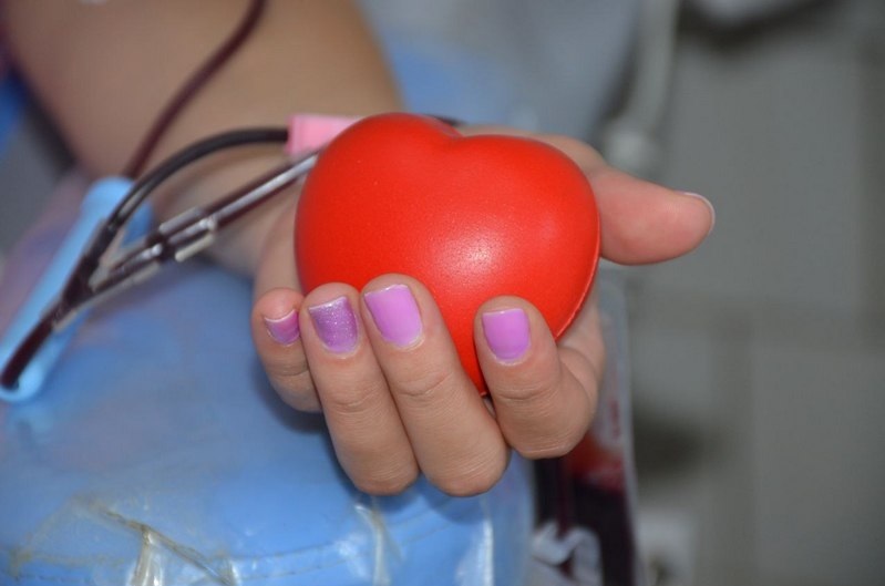 Порядка 800 крымчан поддержали донорскую акцию к Дню государственного флага России