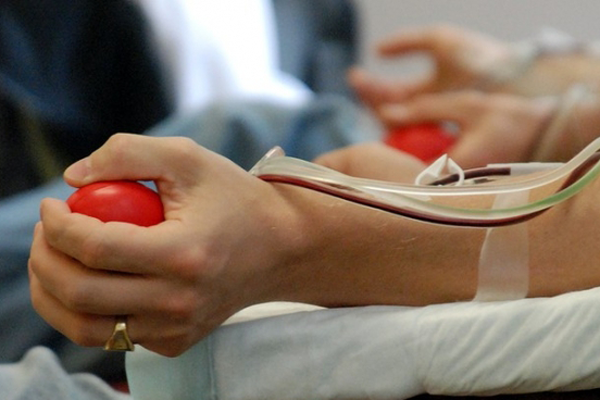 Сотрудники Крымского содового завода сдали 85 литров донорской крови