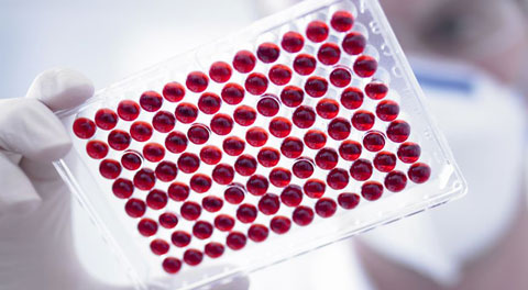 В Можайской районной больнице прошел День донора