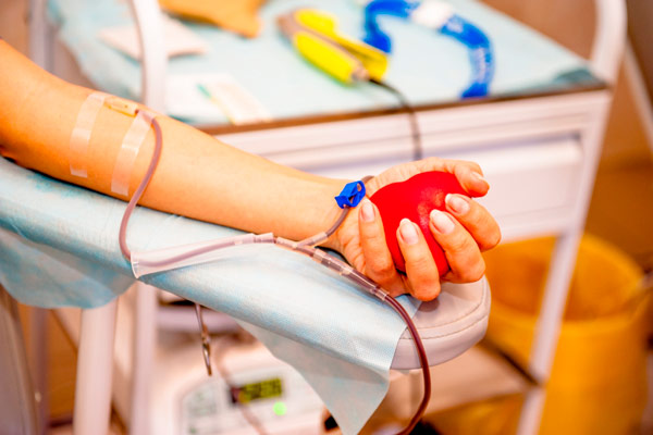 В Чеченской Республике среди медработников стартовала донорская акция «Мы вместе»