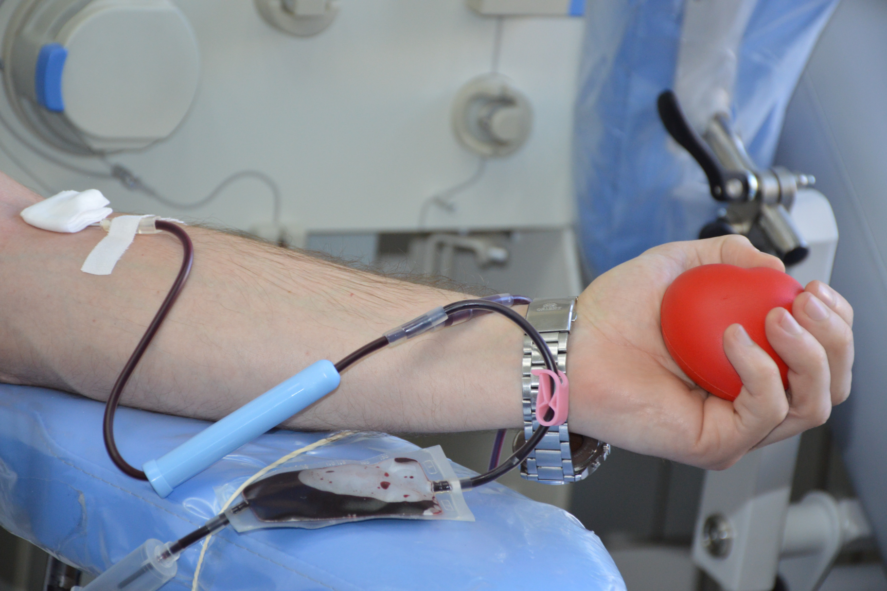 В Ялте пройдёт патриотическая донорская акция «Ты в памяти и в сердце, Сталинград»