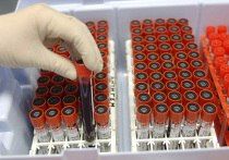 Присоединяйтесь к неделе влюбленных со Службой крови