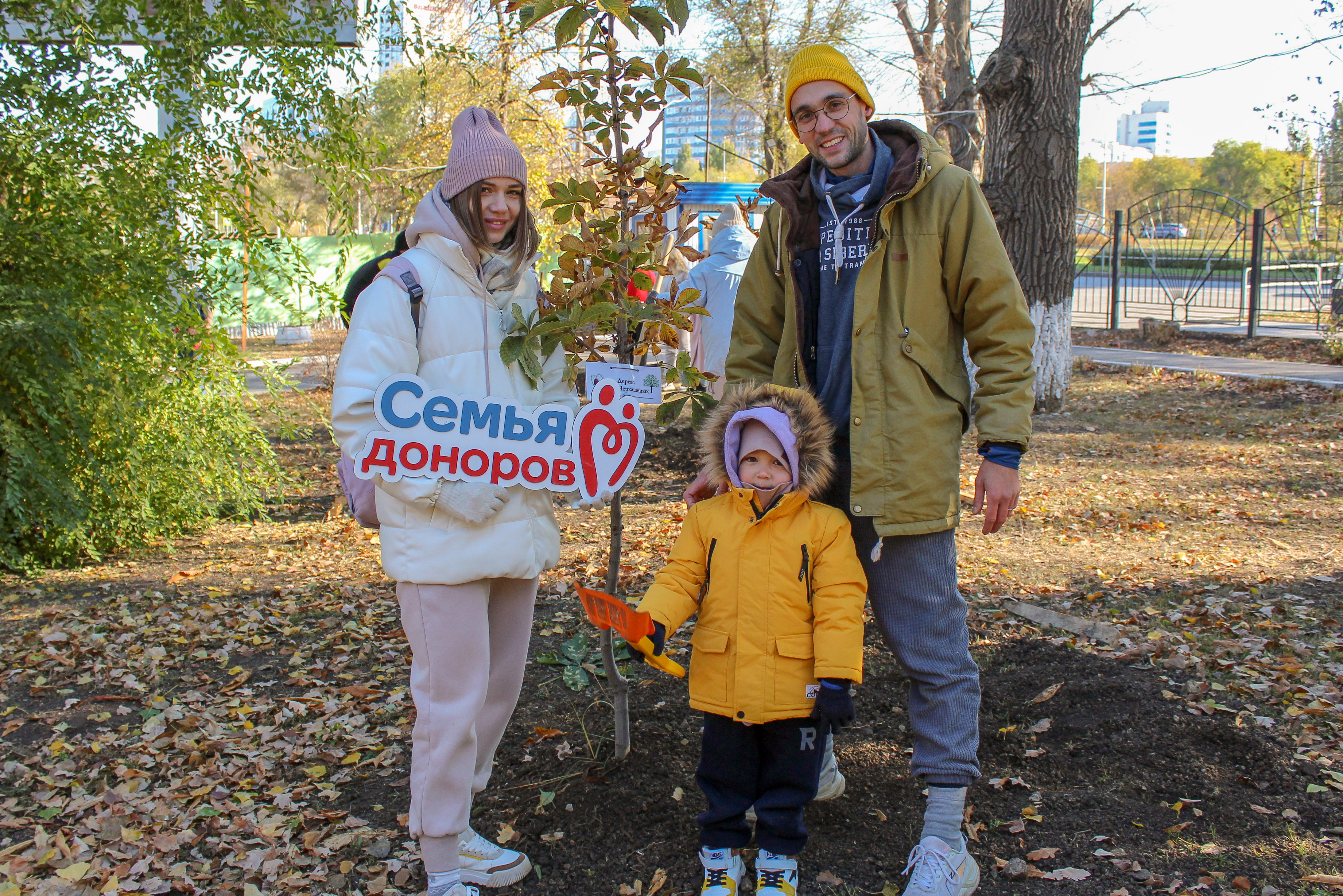 Донорская роща как символ жизни!