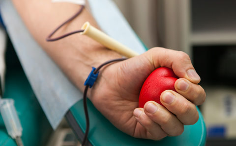 Новгородские приставы стали донорами