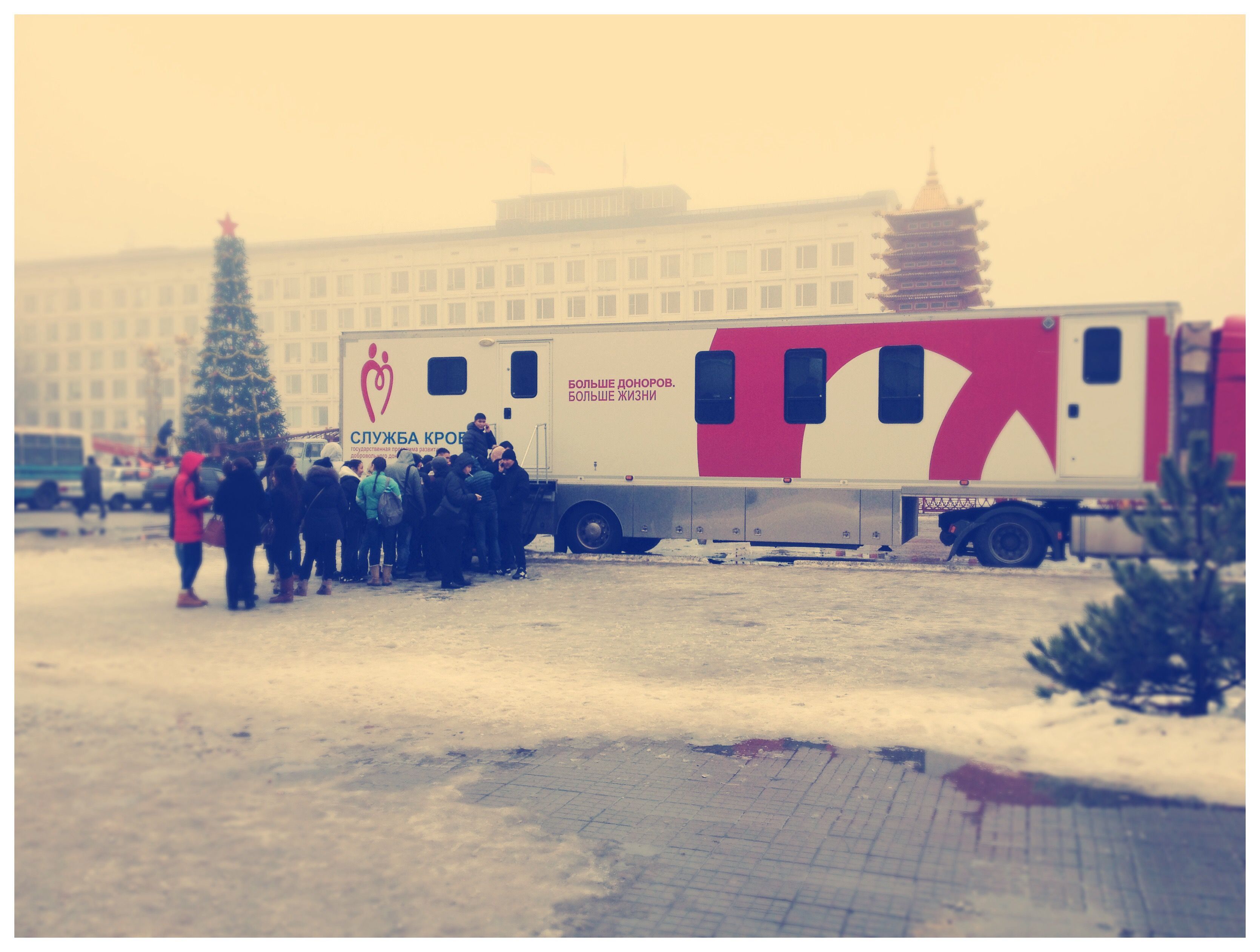 Студенты  Калмыцкого государственного университета сдали кровь