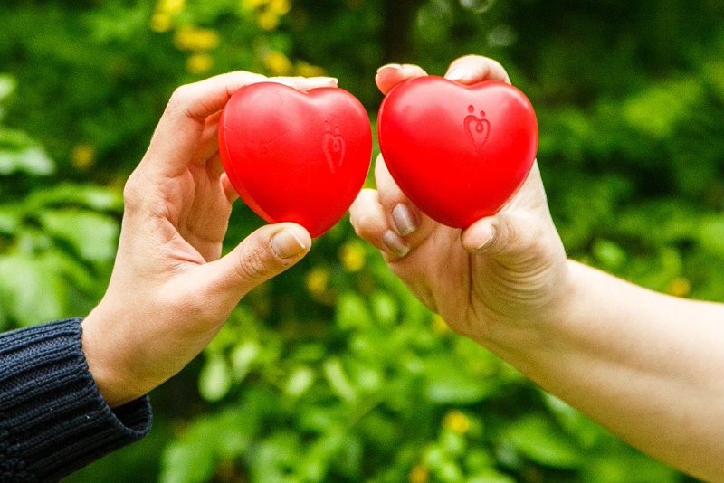 Сдавай регулярно! Организуй профессионально!