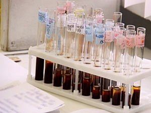 6 августа в Ярославле пройдет «Суббота доноров»