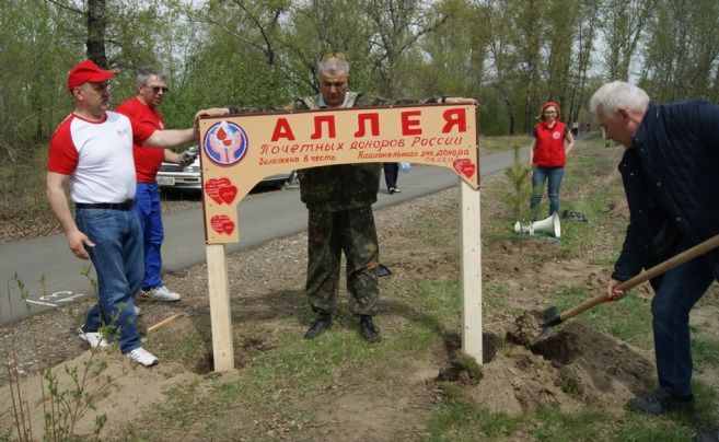 В Хакасии появилась аллея Почетных Доноров