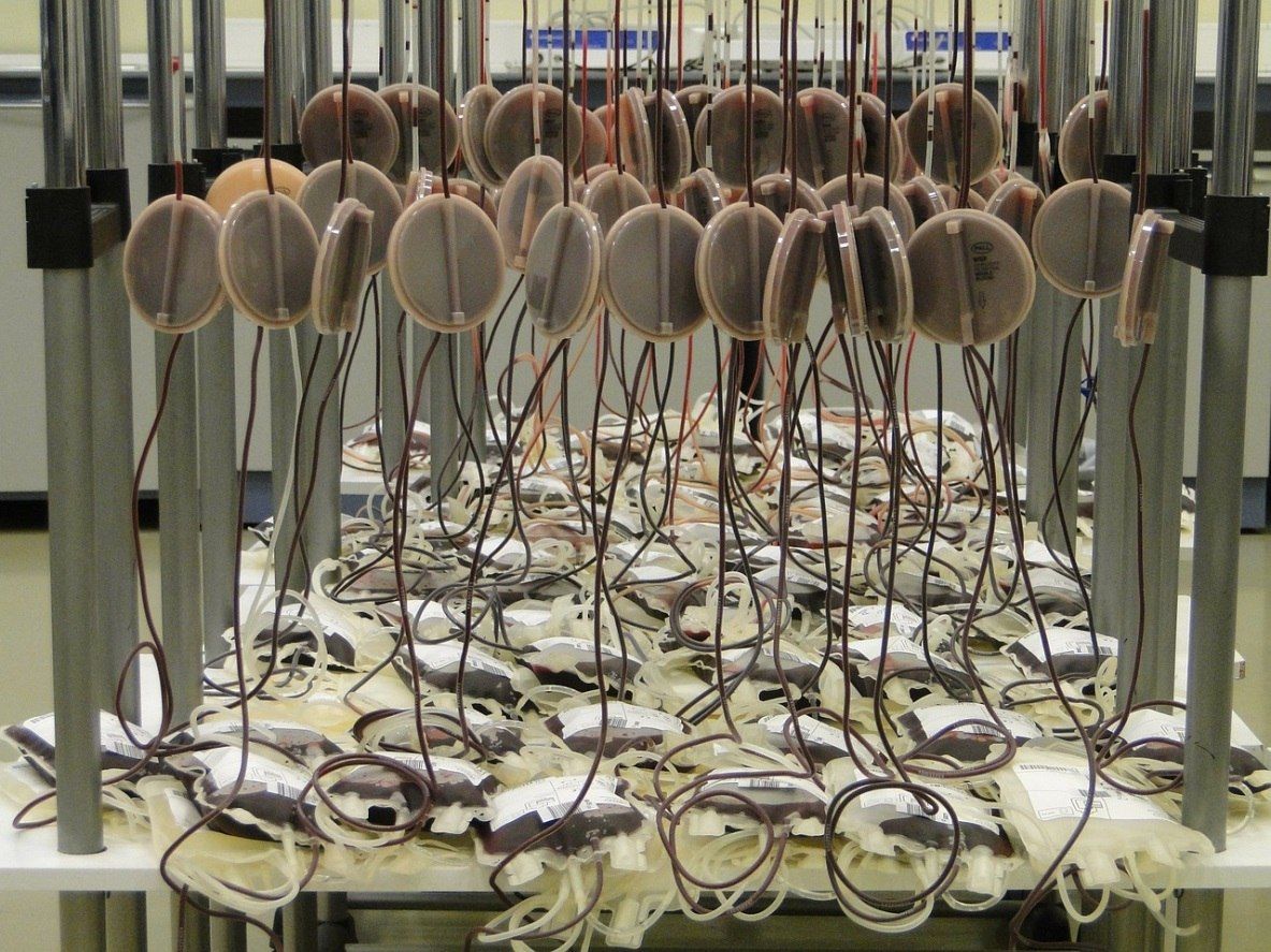 Доноры Челябинской области в новогодние каникулы сдали более 140 литров крови