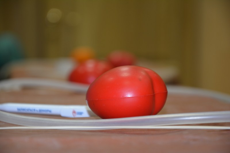 27 января в городе Гусеве прошел День донора