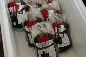 Работники администрации Каменска-Уральского поделились своей кровью