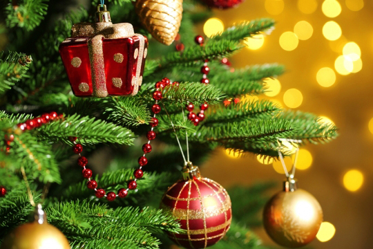 В Кургане прошла акция «С Новым годом, донор!»