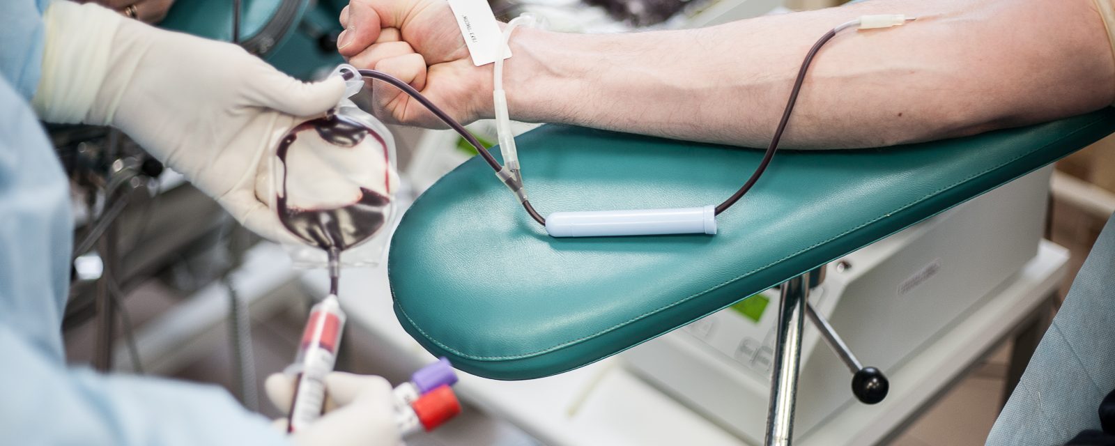 Любовь, рок и кровь