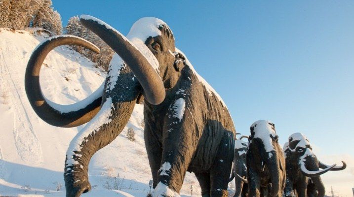 В Ханты - Мансийском автономном округе пройдет донорская акция « 86 спасённых жизней»