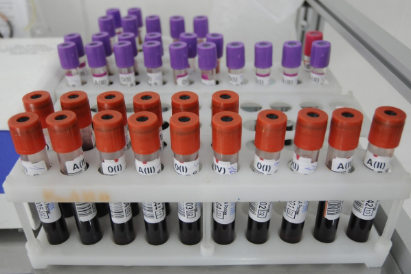 Школьники Москвы получают знания о донорстве крови