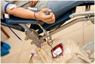 В Ульяновской области стартовала донорская акция, приуроченная к  Международному дню врача