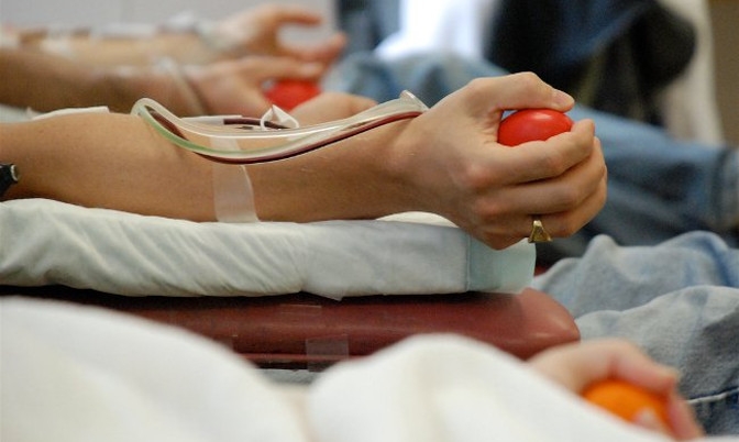 В Перми прошел День здоровья