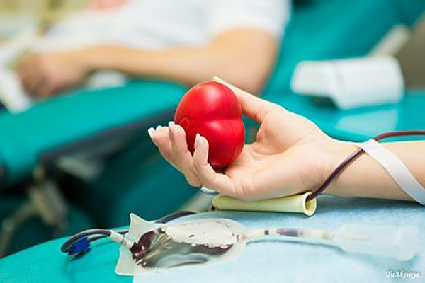 Прием заявок на Конкурс Всероссийской акции «Код донора. Наставничество» продолжается