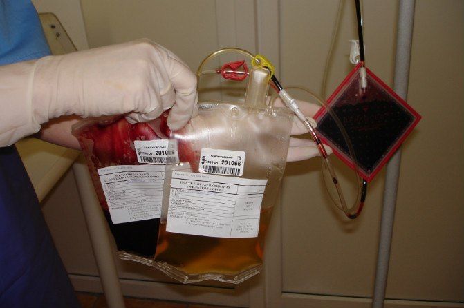 Акция «в капле твоей крови чья-то жизнь!» прошла в Кузнецке